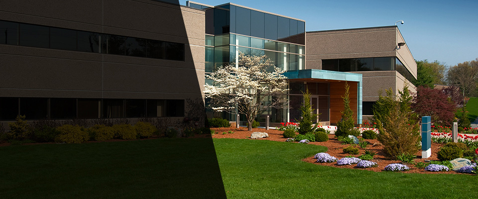Mount Prospect Landscapers