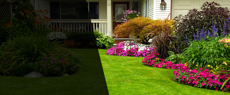 Mount Prospect Landscapers