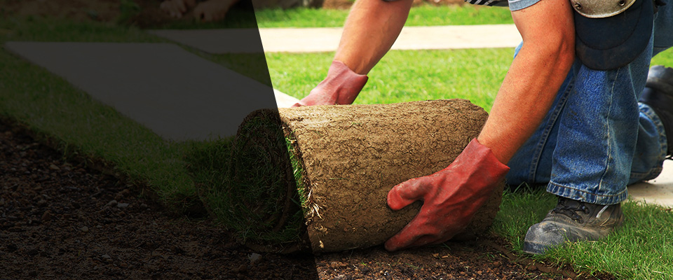 Mount Prospect Landscapers